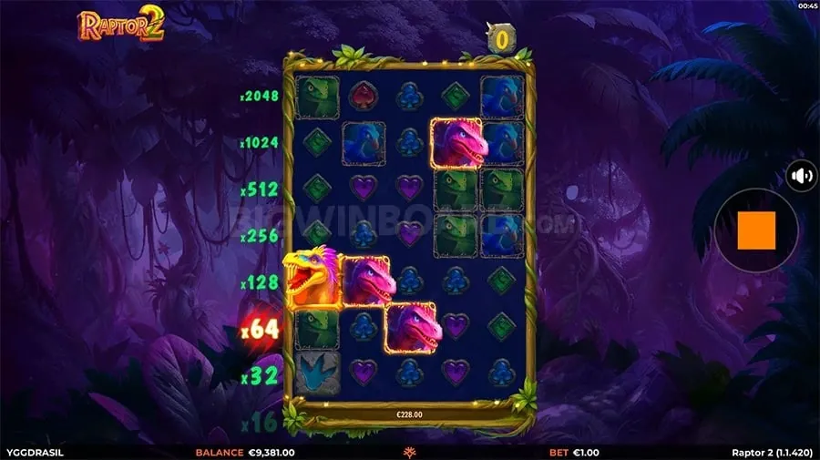 Online Gambling Basics